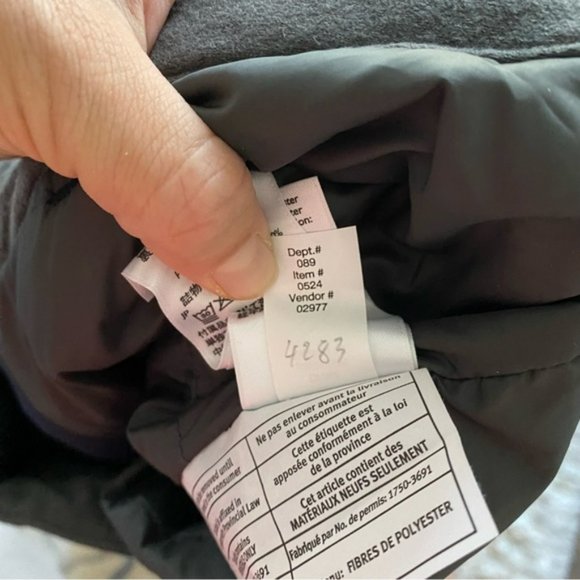 EDDIE BAUER Women's Powder Search 2.0 Insulated Pants - Picture 4 of 6